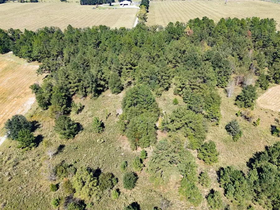 NE 75th St, Williston, FL 32696 - #3