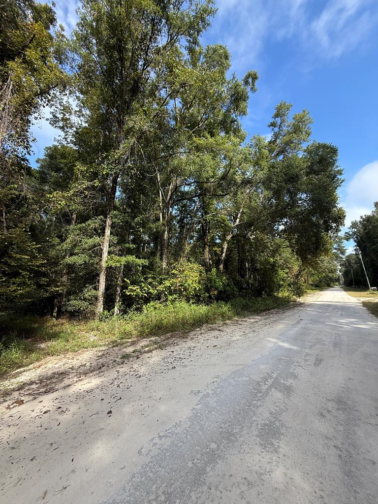 746th St, Old Town, FL 32680 - #1