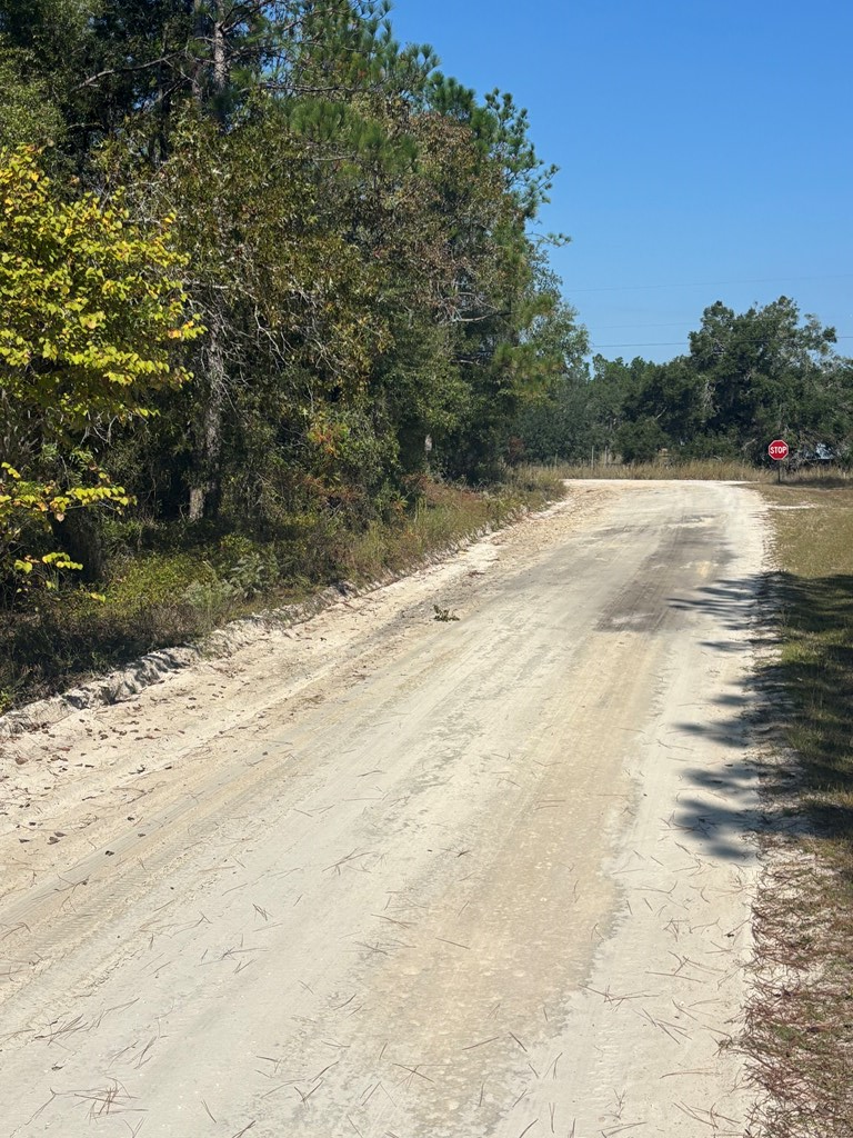 Lot 10 NW 16th Ave, Bell, FL 32619 - #2