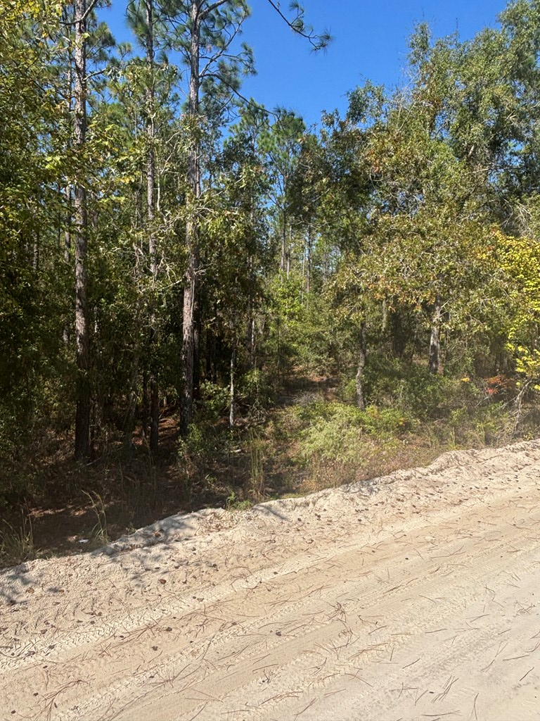 Lot 10 NW 16th Ave, Bell, FL 32619 - #3