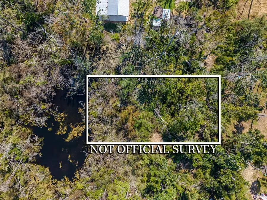 0 NE Second Ave, Steinhatchee, FL 32359 - #2