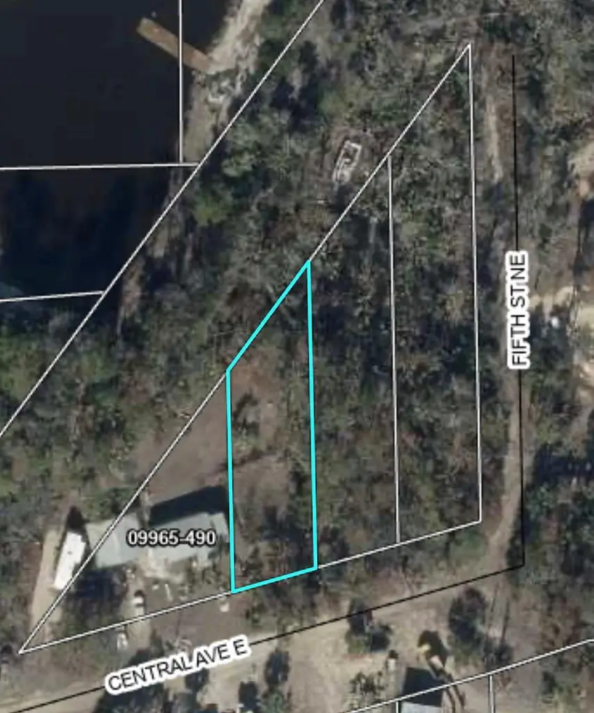 NE Central Ave, Steinhatchee, FL 32359 - #2