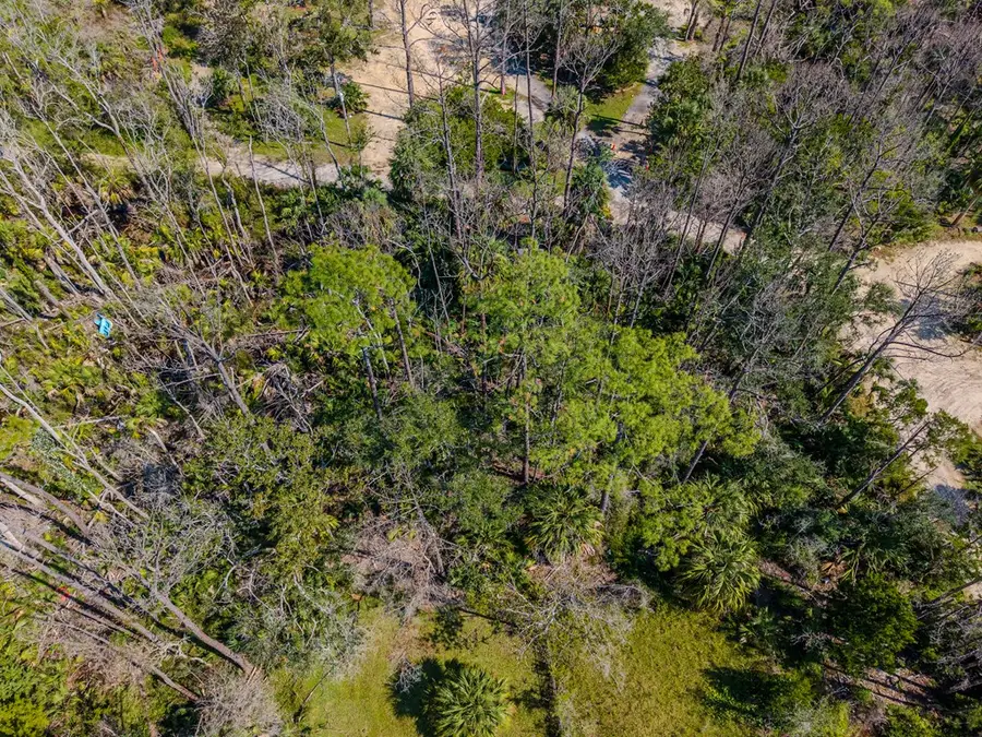 NE Central Ave, Steinhatchee, FL 32359 - #3