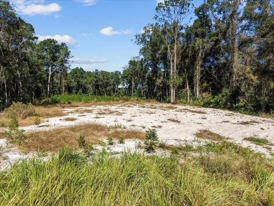 000 NW 162nd St, Trenton, FL 32693 - #3