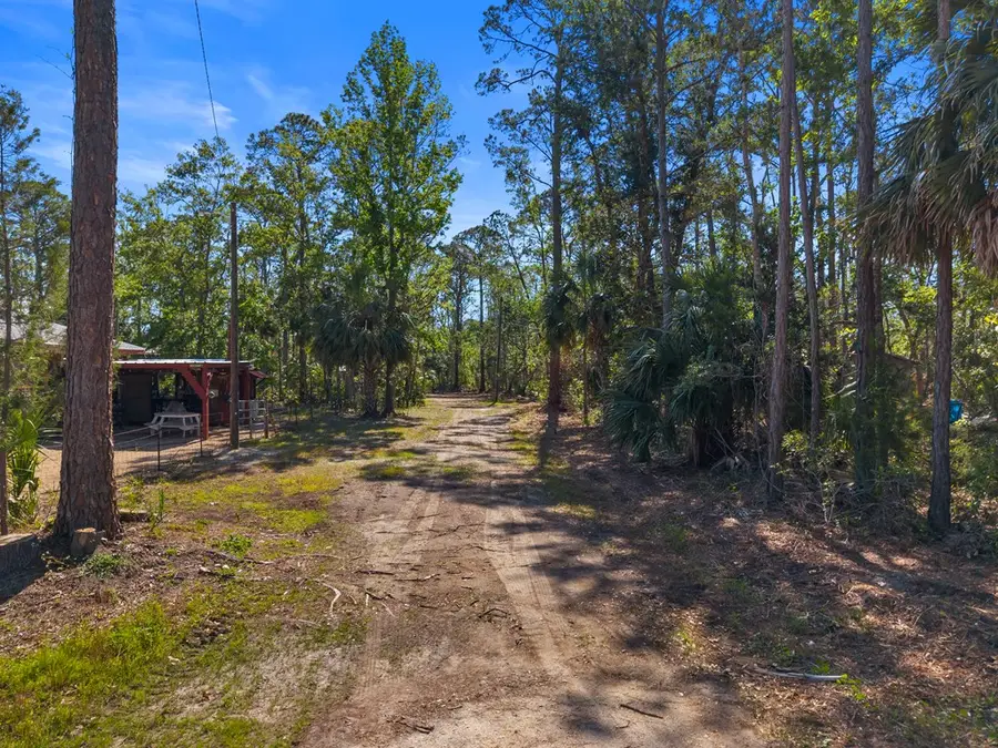 NW Fourth Ave, Steinhatchee, FL 32359 - #2