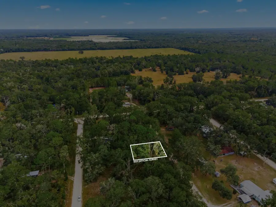 0000 NE 466th Ave, Reddick McIntosh, FL 32686 - #3