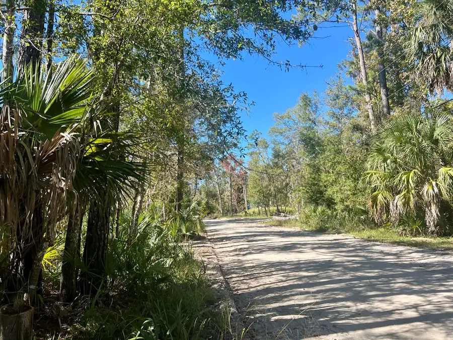 SW 123rd Ave, Steinhatchee, FL 32359 - #3