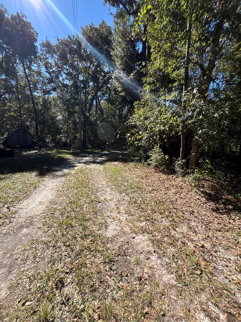 Lot 2 SE 843rd St, Old Town, FL 32008 - #1