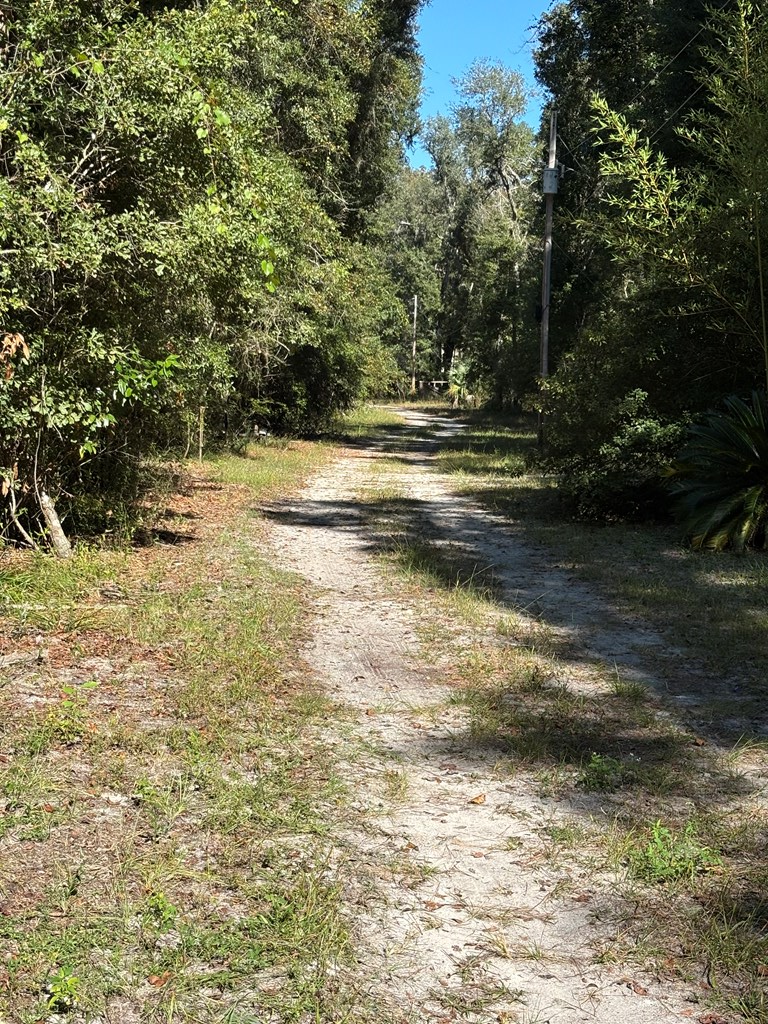Lot 2 SE 843rd St, Old Town, FL 32008 - #2