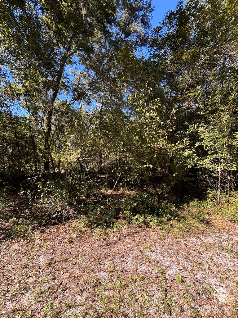 Lot 2 SE 843rd St, Old Town, FL 32008 - #3