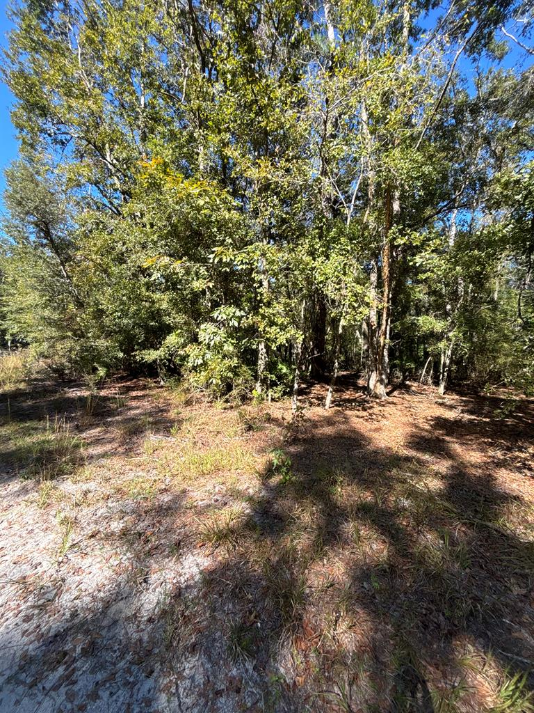 Lot 3 SE 843rd St, Old Town, FL 32008 - #1