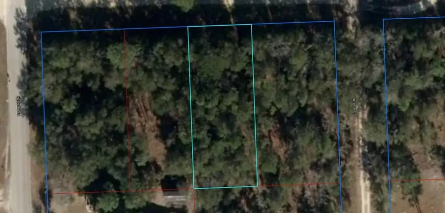 NE 67th St, Bronson, FL 32621 - #2