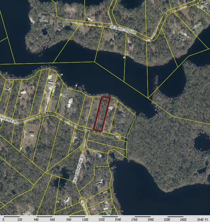 SE Oak Tree Rd, Branford, FL 32008 - #1