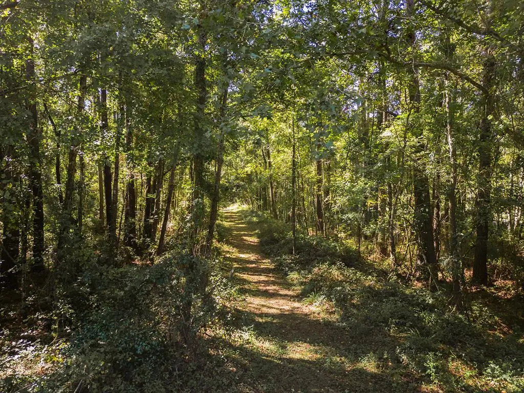 N State Rd 121, Alachua, FL 32615 - #1