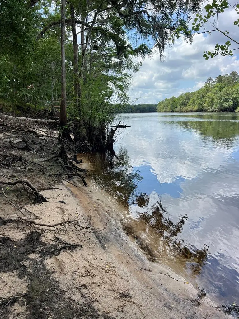 839 NW 78th Ave, Bell, FL 32619 - #2