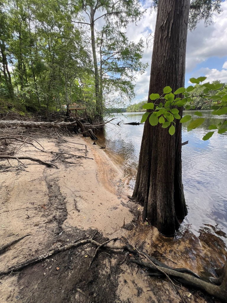 839 NW 78th Ave, Bell, FL 32619 - #3