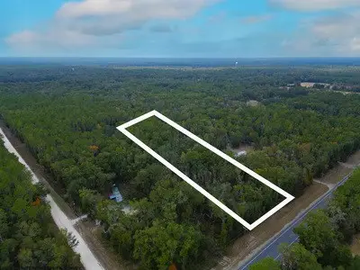 TBD NW Hwy 349, Old Town, FL 32680 - #2