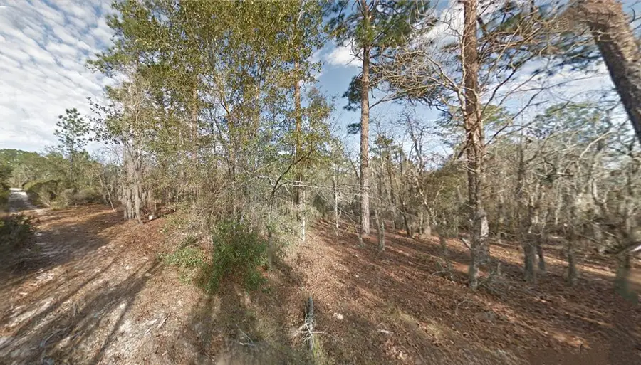 Lot 3&4 NE 104th Ave, Bronson, FL 32621 - #2