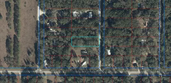 17030 NW 73rd Ter, Fanning Springs, FL 32693