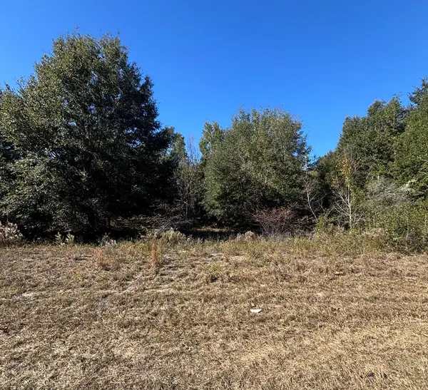 0001 S Hwy 349, Old Town, FL 32680