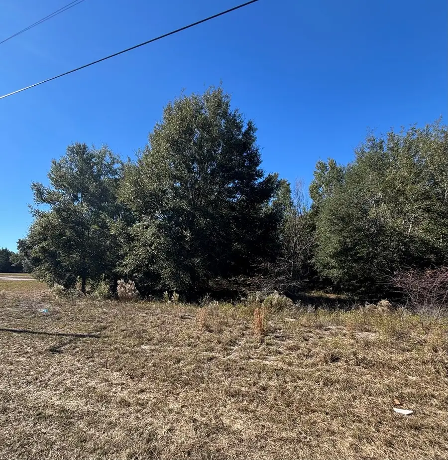 0001 S Hwy 349, Old Town, FL 32680 - #2