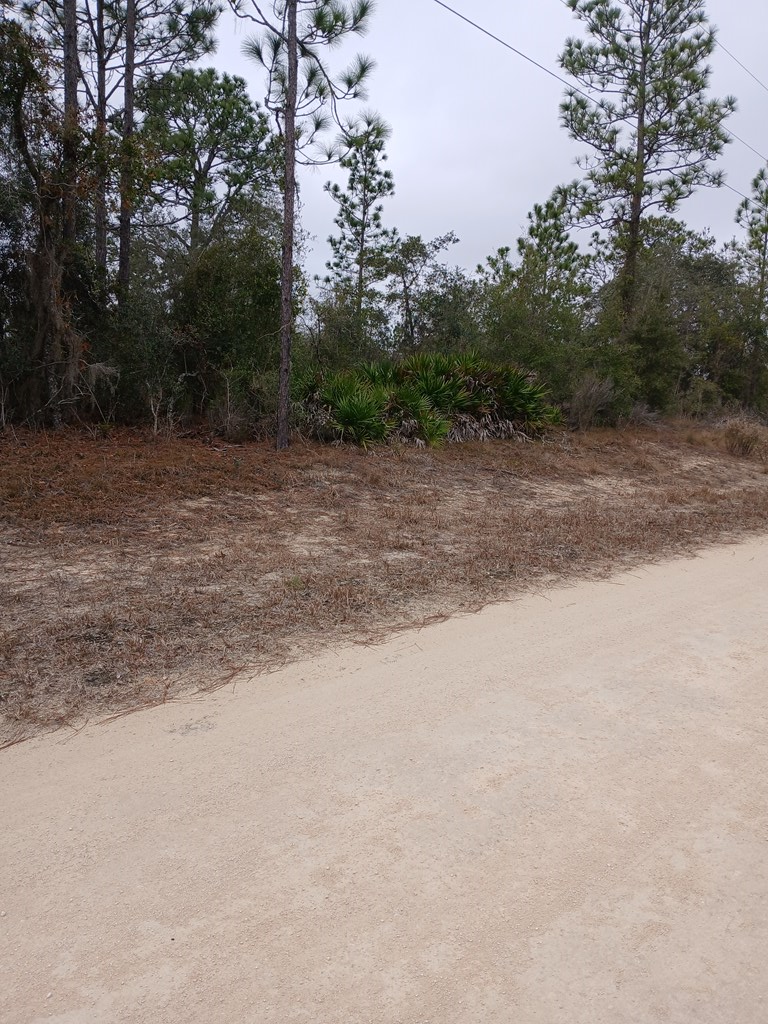 101st Ct, Archer, FL 32618 - #2