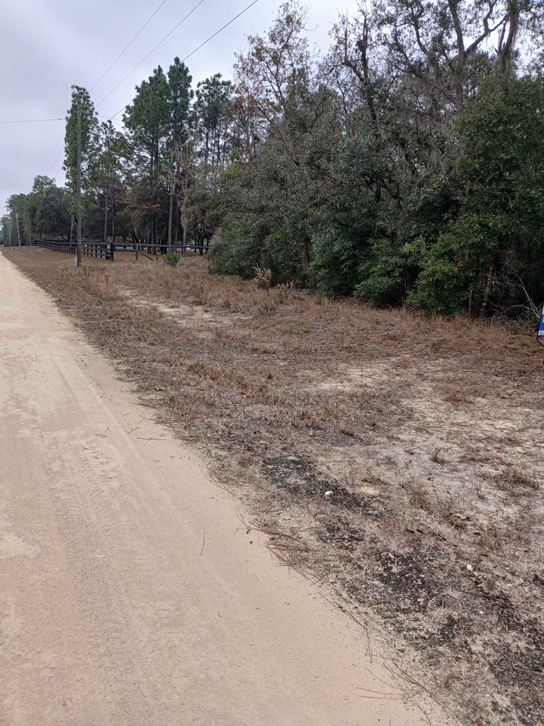 101st Ct, Archer, FL 32618 - #3