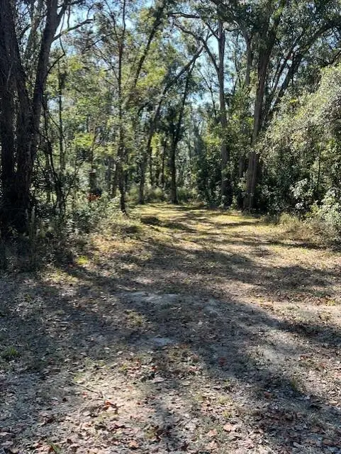 211 NE 385th Ave, Old Town, FL 32680 - #1