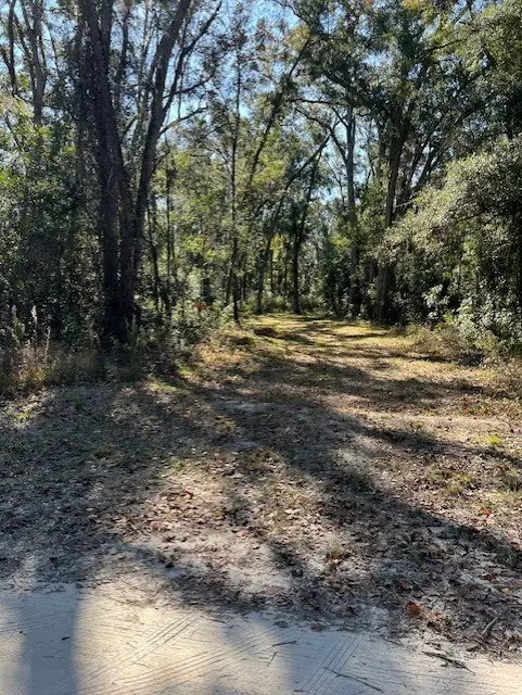 211 NE 385th Ave, Old Town, FL 32680 - #3