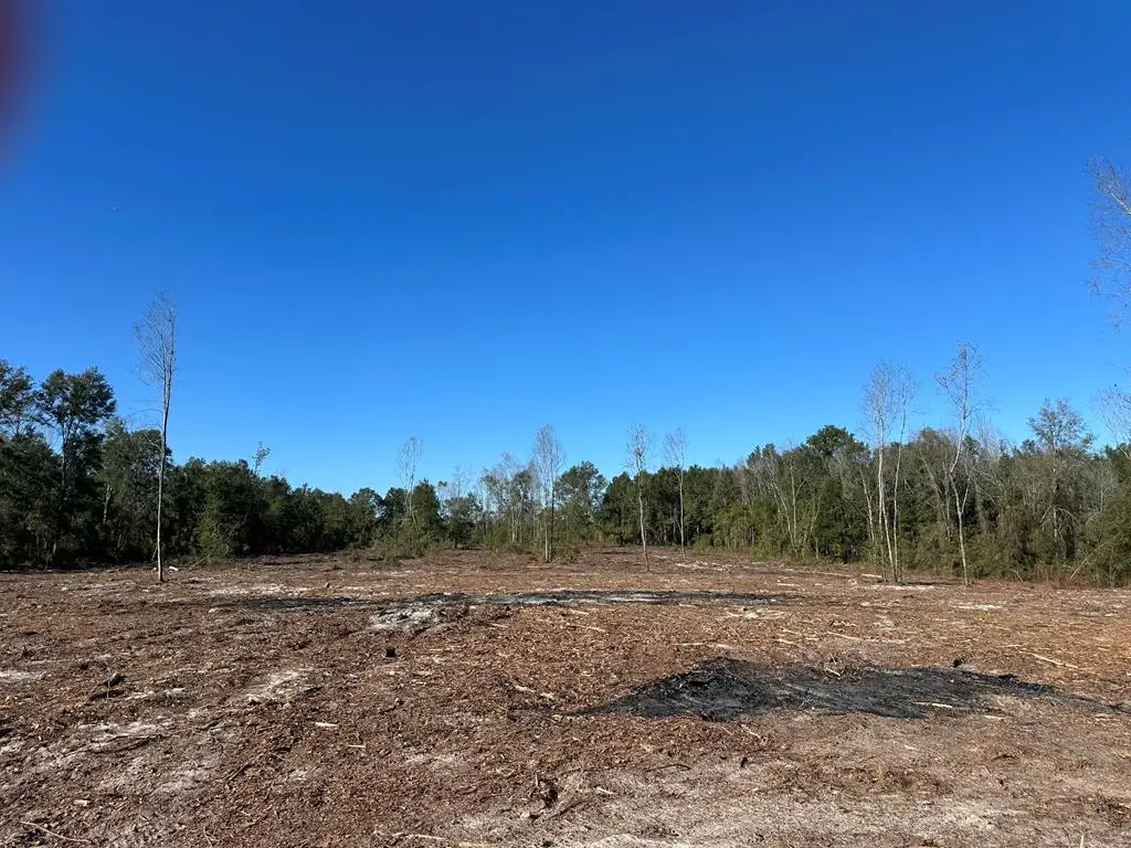93rd Place, Suwannee, FL 32071 - #1