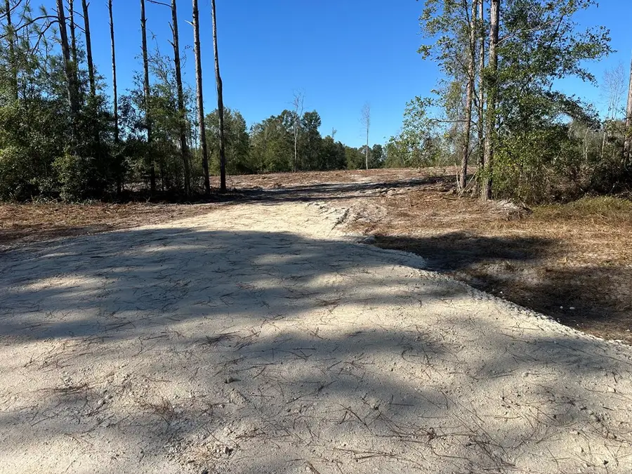 93rd Place, Suwannee, FL 32071 - #2
