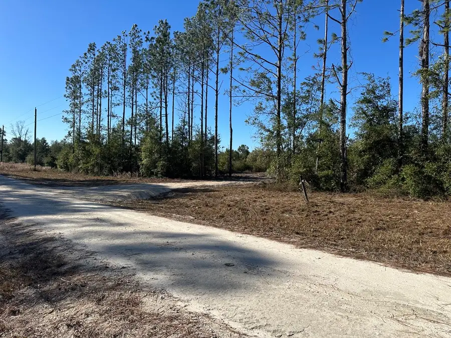 93rd Place, Suwannee, FL 32071 - #3