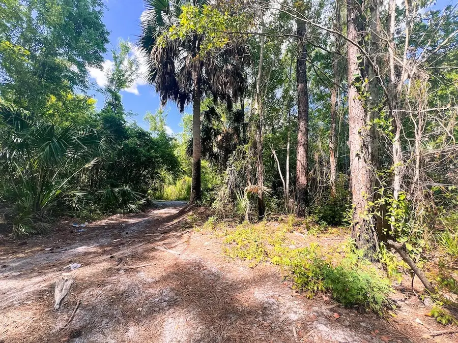 SW 108th Ave, Cedar Key, FL 32625 - #3