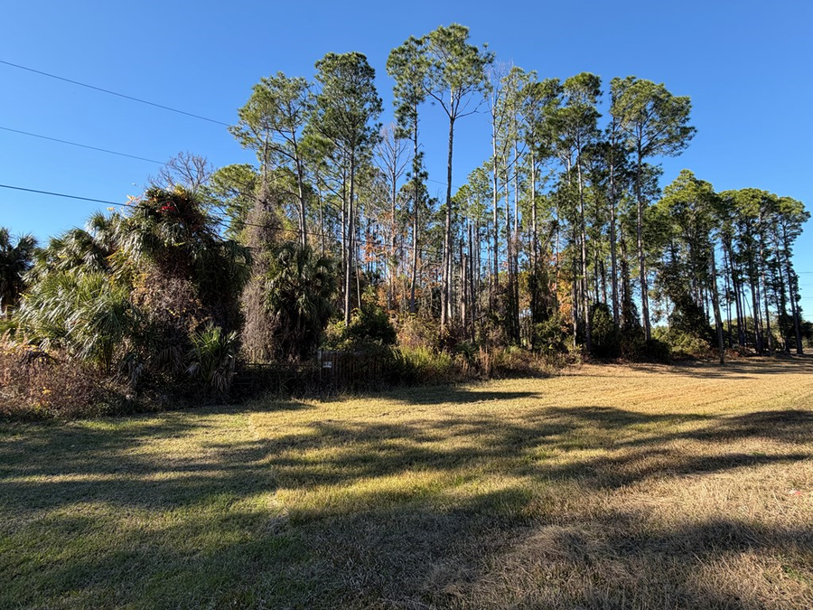 County Road 347, Cedar Key, FL 32625 - #2