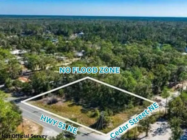 0 NE Hwy 51, Steinhatchee, FL 32359