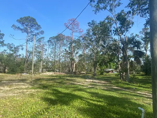 0 Main St, Steinhatchee, FL 32359