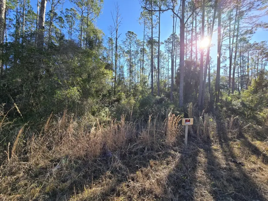 NE 452nd St, Old Town, FL 32680 - #2