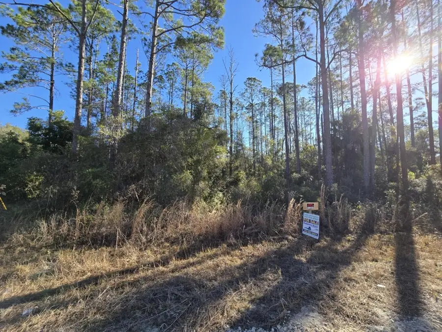 NE 452nd St, Old Town, FL 32680 - #3