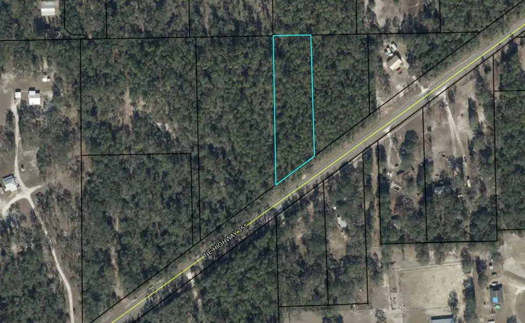 County Road 351, Old Town, FL 32680 - #1