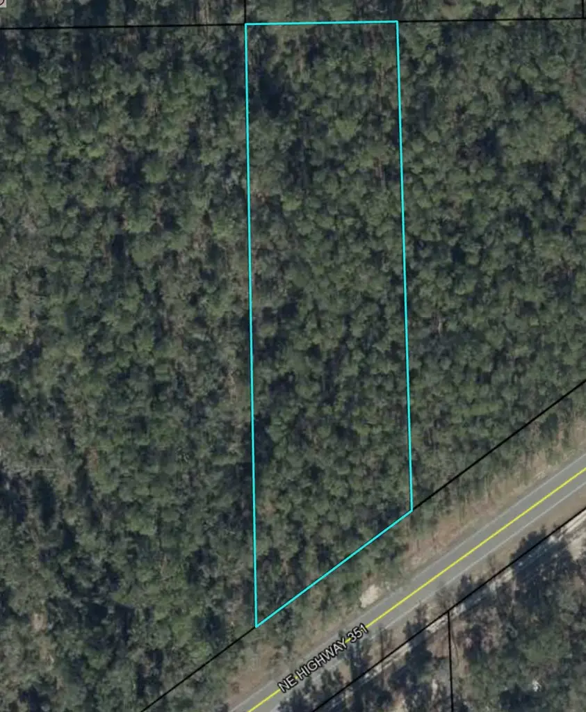 County Road 351, Old Town, FL 32680 - #2