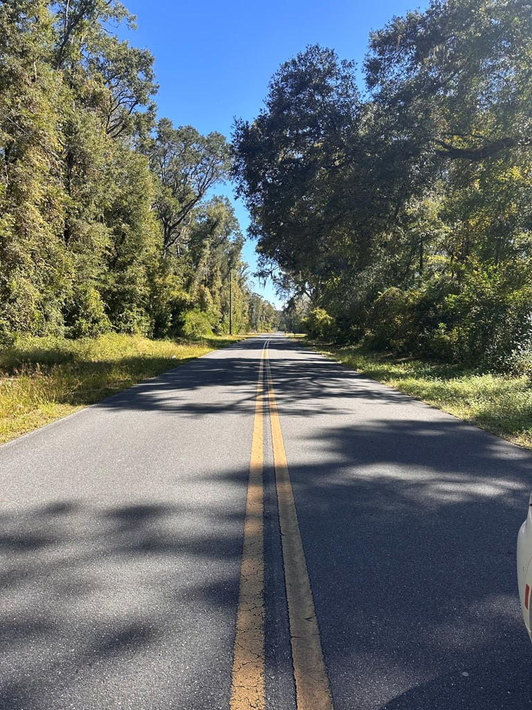 NE 206th Ave, Old Town, FL 32693 - #2