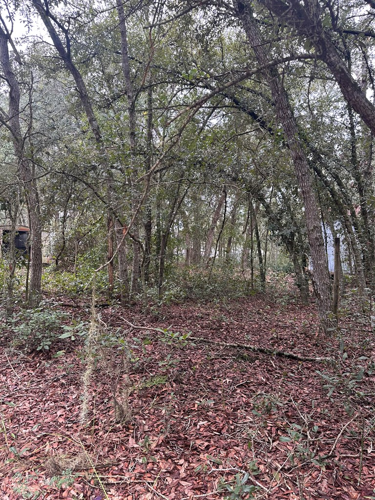 102 Pond Unassigned, Hawthorne, FL 32640 - #2