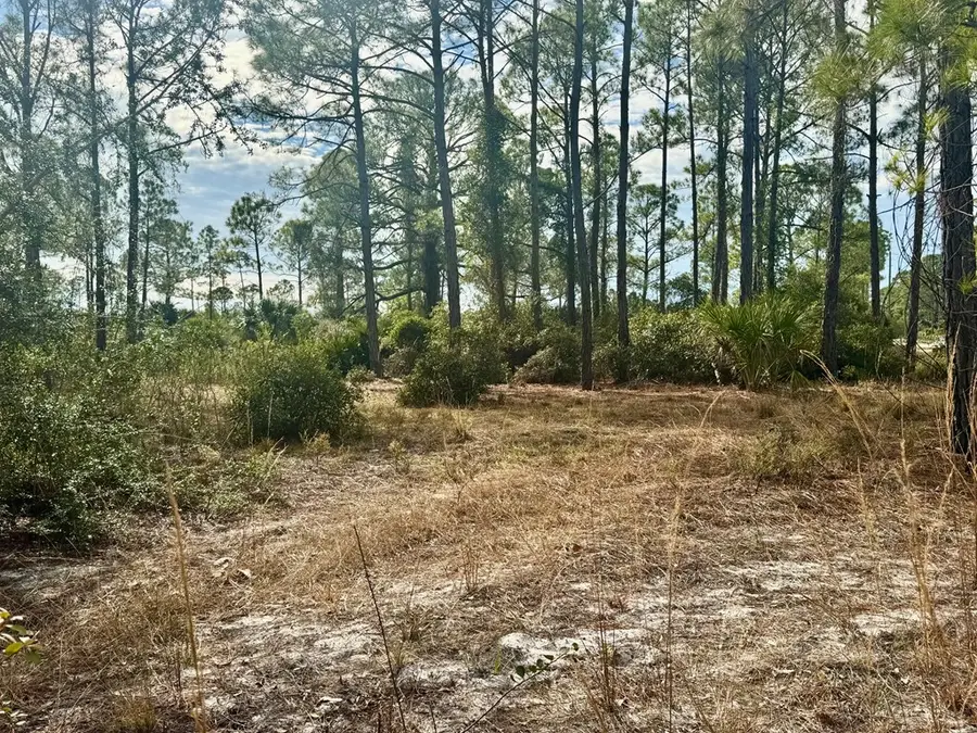 Address Withheld By Seller, Cedar Key, FL 32625 - #3