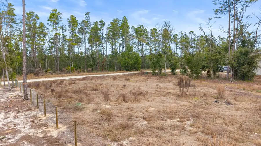 0 White Oak Dr, Steinhatchee, FL 32359 - #2