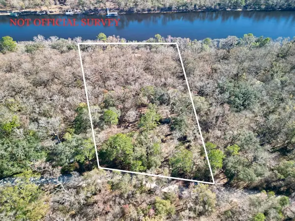 259 NE 904th St, Old Town, FL 32680