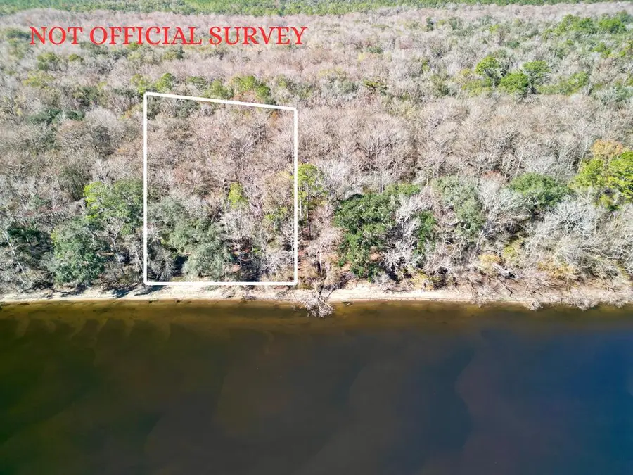 259 NE 904th St, Old Town, FL 32680 - #3