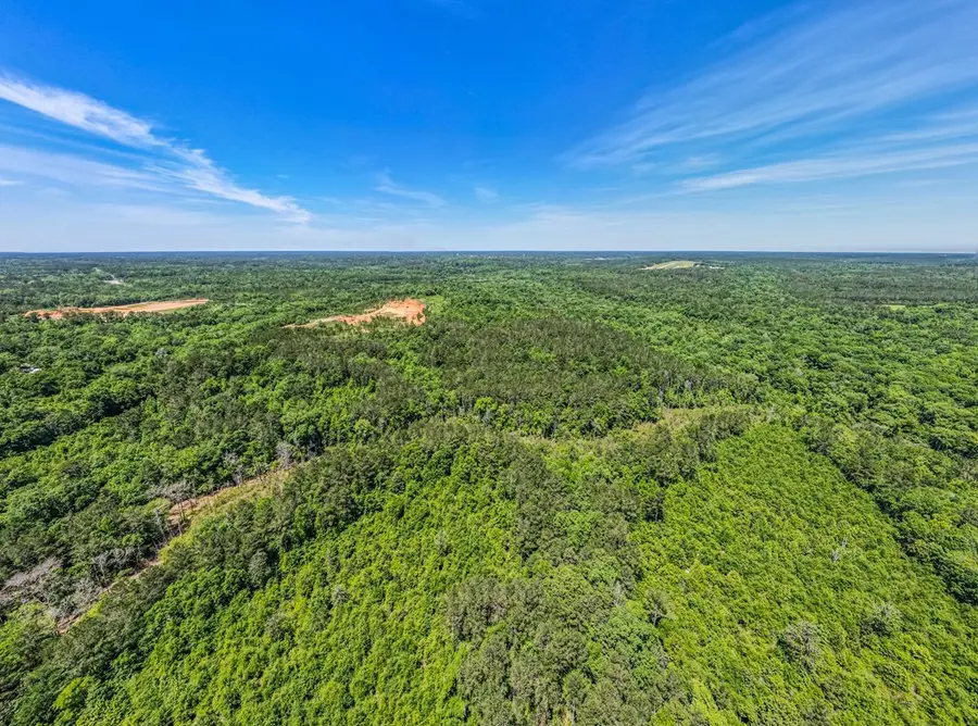 0 Us Hwy 27, Perry, FL 32348 - #2