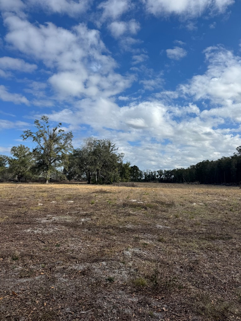 Hwy 349, Old Town, FL 32680 - #3