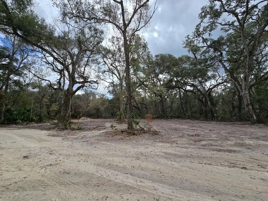 NE 325th Ave, Old Town, FL 32680 - #2