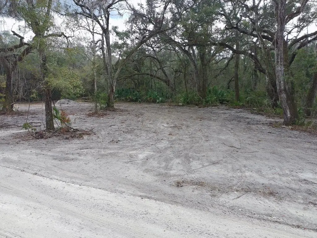 NE 325th Ave, Old Town, FL 32680 - #1